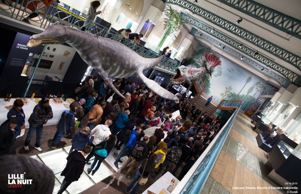 Liaisons Vitales, l’expo sur l’entraide dans le monde animal au Musée d’histoire naturelle en live - photo n°2