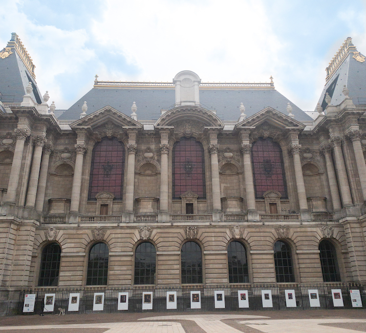 Les expos à voir lors de la réouverture des musées lillois