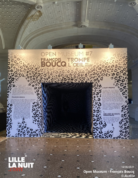 Le Palais des Beaux-Arts de Lille donne carte blanche au dessinateur lillois François Boucq pour son Open Museum en live - photo n°1