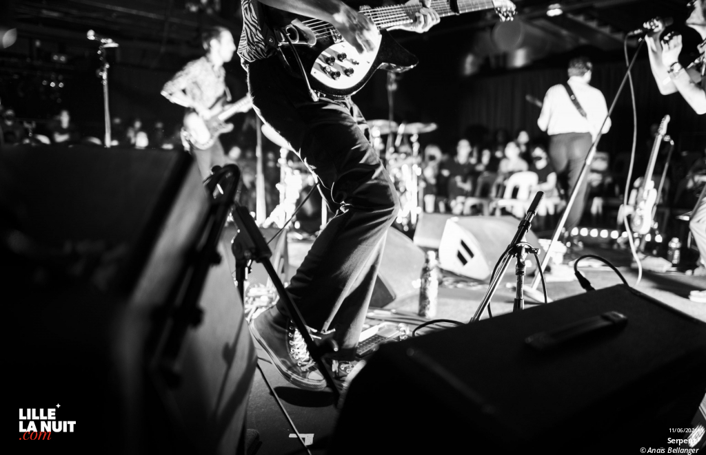 Serpent + Structures à L’Aéronef en live - photo n°1