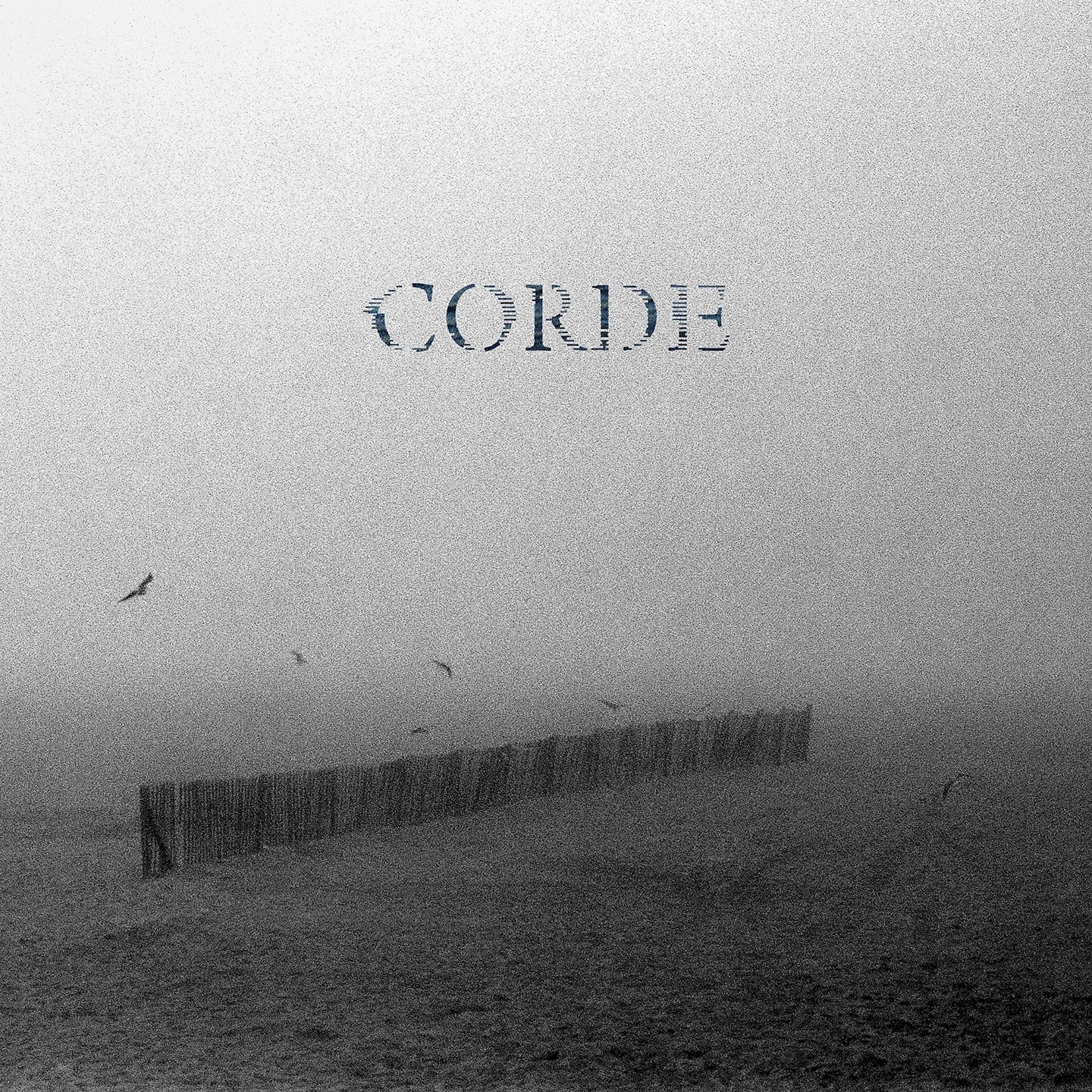Le groupe nordiste Corde a sorti son album éponyme
