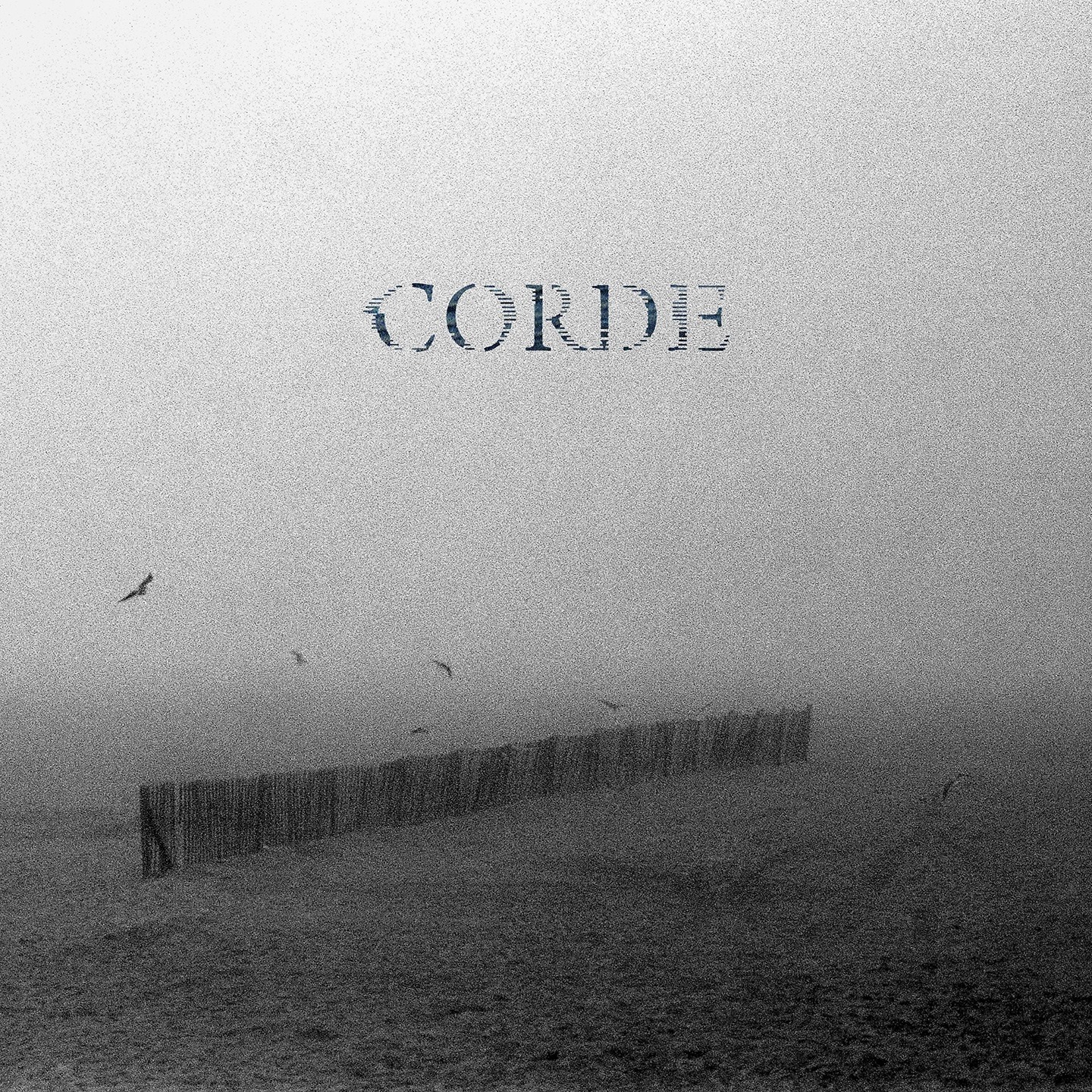 Le groupe nordiste Corde a sorti son album éponyme