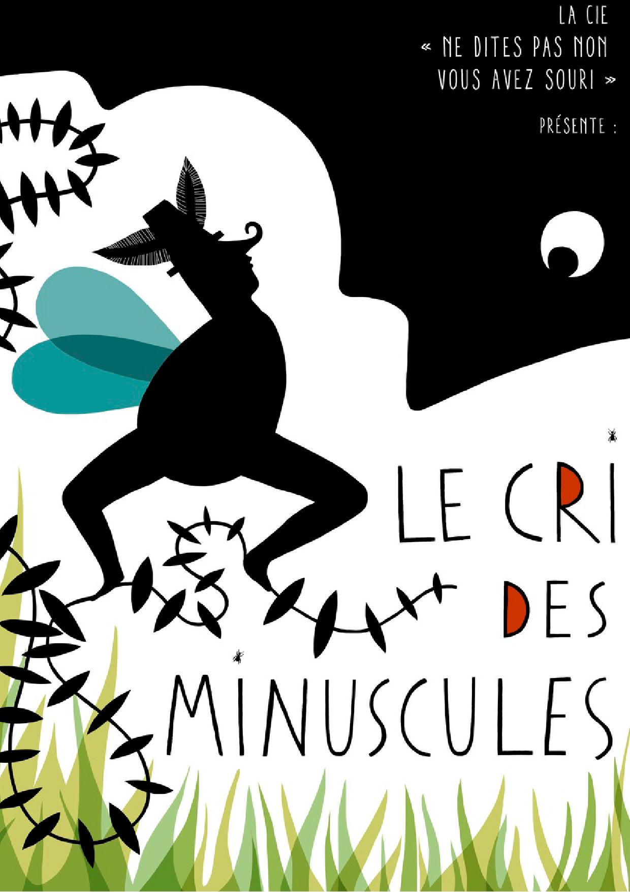 Le cri des Minuscules, un conte musical et visuel Spectacles