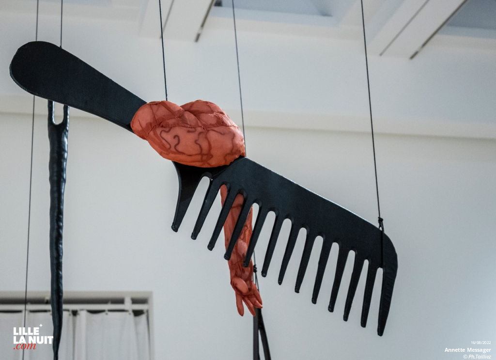 Comme si, l’exposition d’Annette Messager au LAM en live - photo n°11