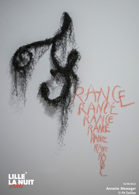 Comme si, l’exposition d’Annette Messager au LAM en live - photo n°4