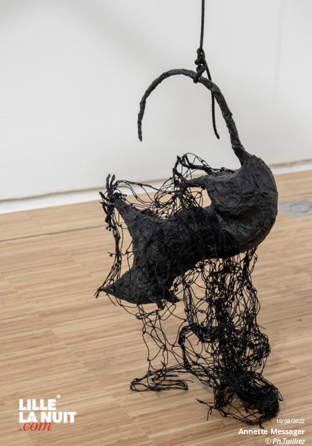 Comme si, l’exposition d’Annette Messager au LAM en live - photo n°12