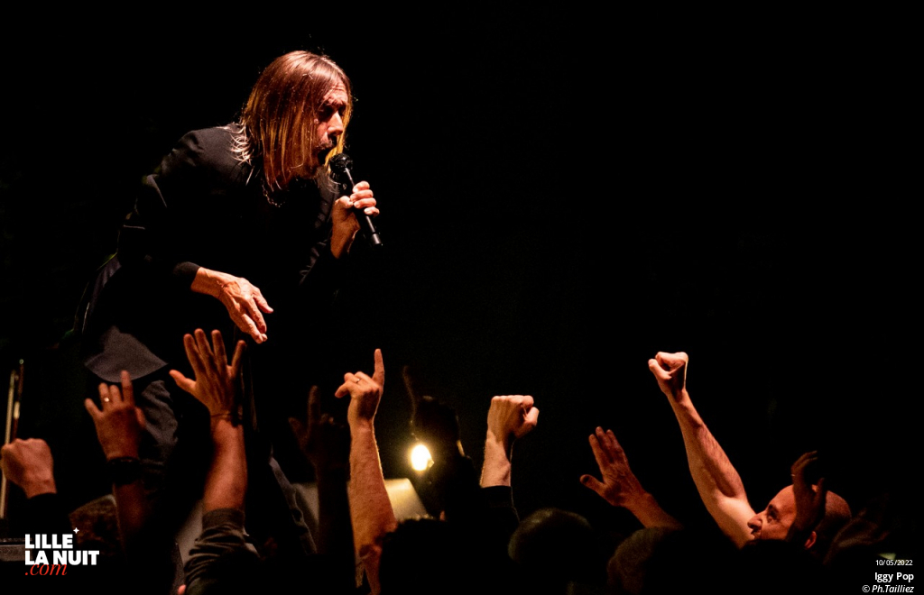 Iggy Pop au Zénith de Lille en live - photo n°16