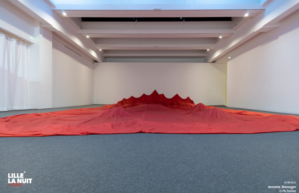 Comme si, l’exposition d’Annette Messager au LAM en live - photo n°9