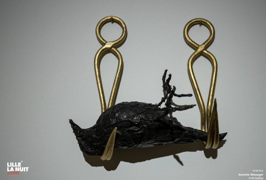 Comme si, l’exposition d’Annette Messager au LAM en live - photo n°5