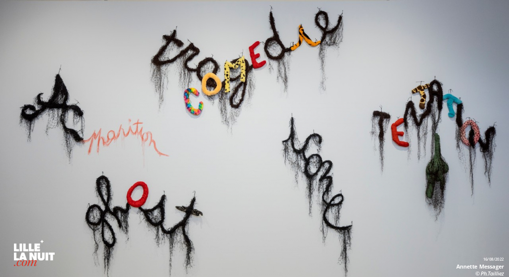 Comme si, l’exposition d’Annette Messager au LAM en live - photo n°1