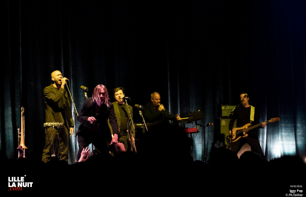 Iggy Pop au Zénith de Lille en live - photo n°4