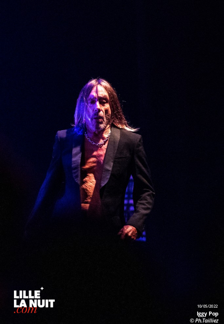 Iggy Pop au Zénith de Lille en live - photo n°2