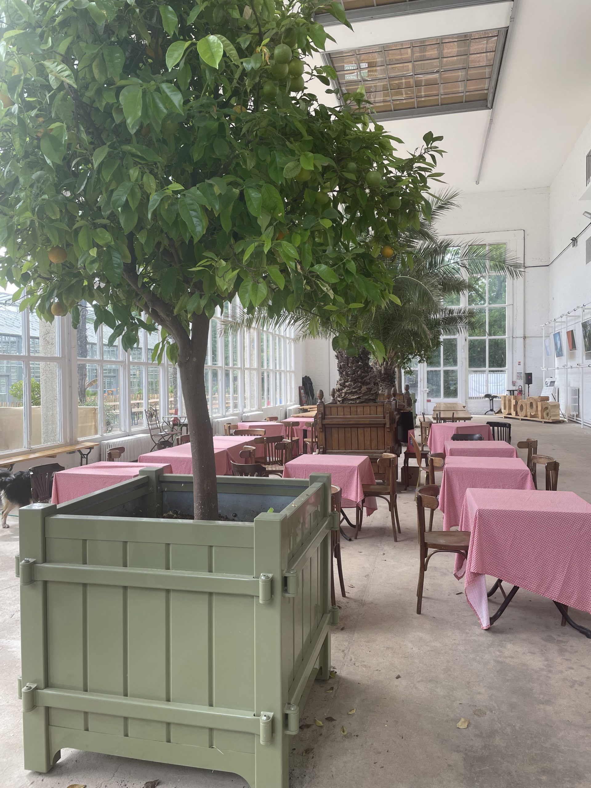 L’Orangerie, le bar éphémère du Jardin