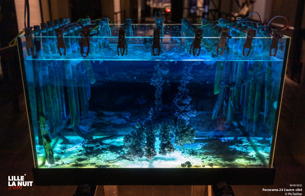 Panorama 24 – L’autre côté en live - photo n°10