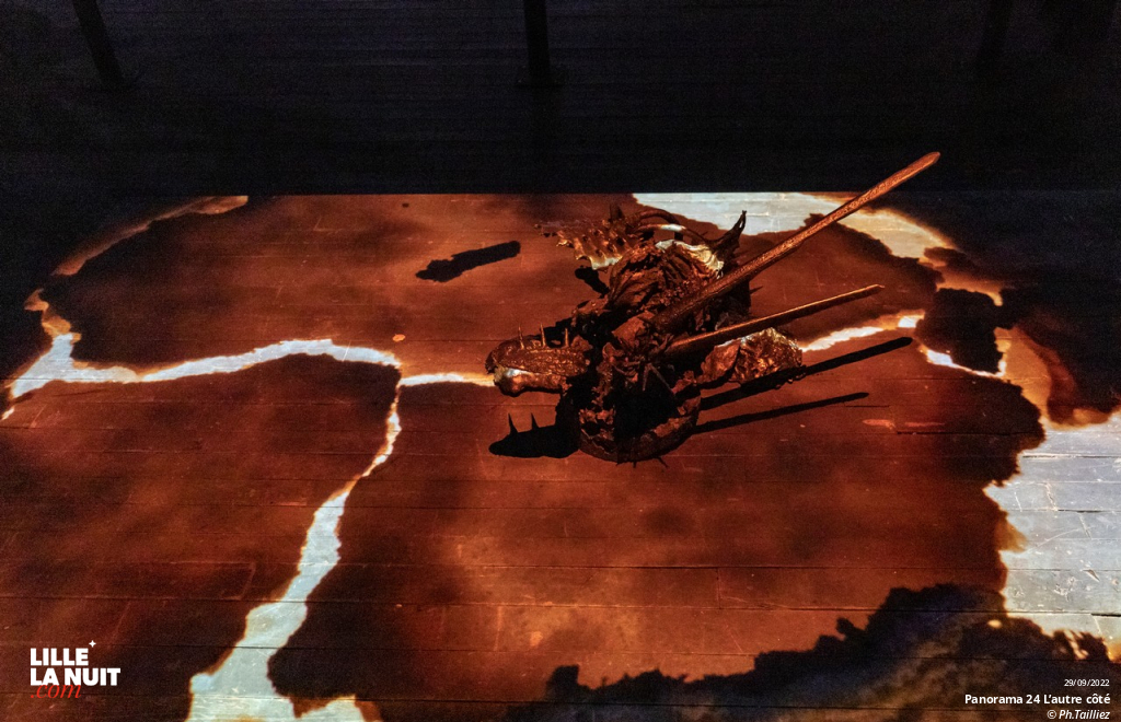 Panorama 24 – L’autre côté en live - photo n°21