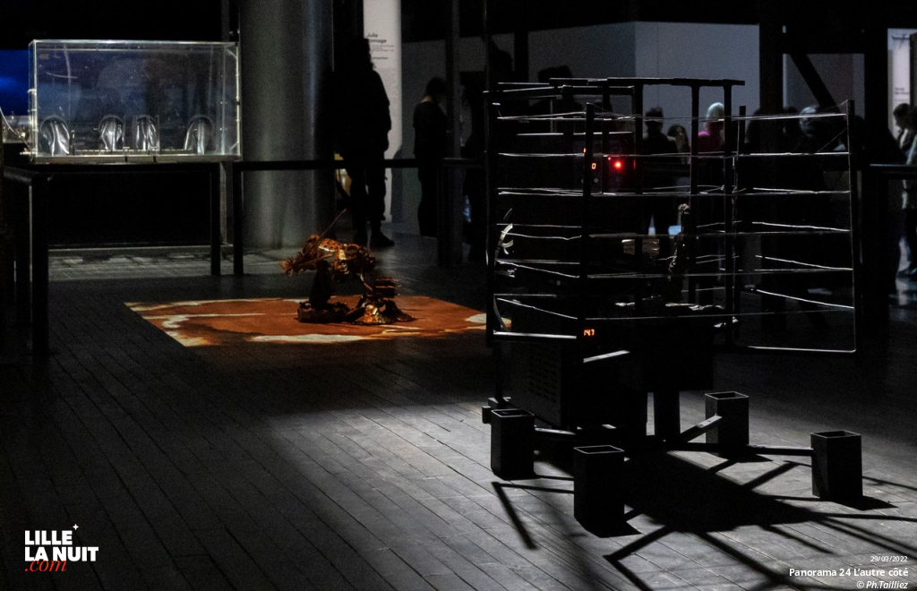 Panorama 24 – L’autre côté en live - photo n°20