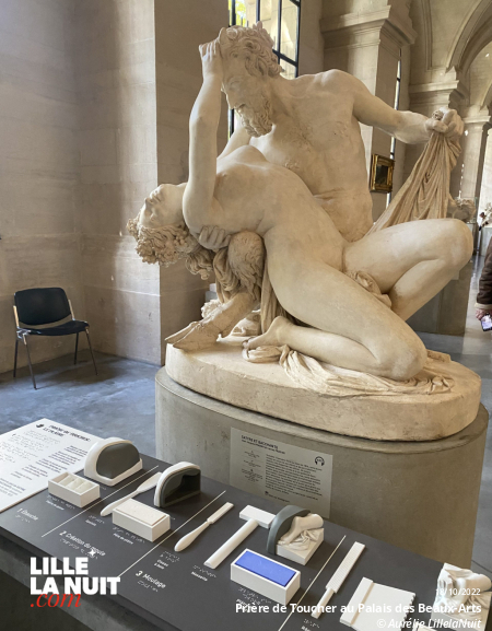 Prière de toucher, une invitation du Palais des Beaux Arts à toucher certaines oeuvres ! en live - photo n°8