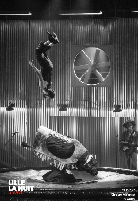 Cirque Alfonse au Colisée de Lens en live - photo n°53