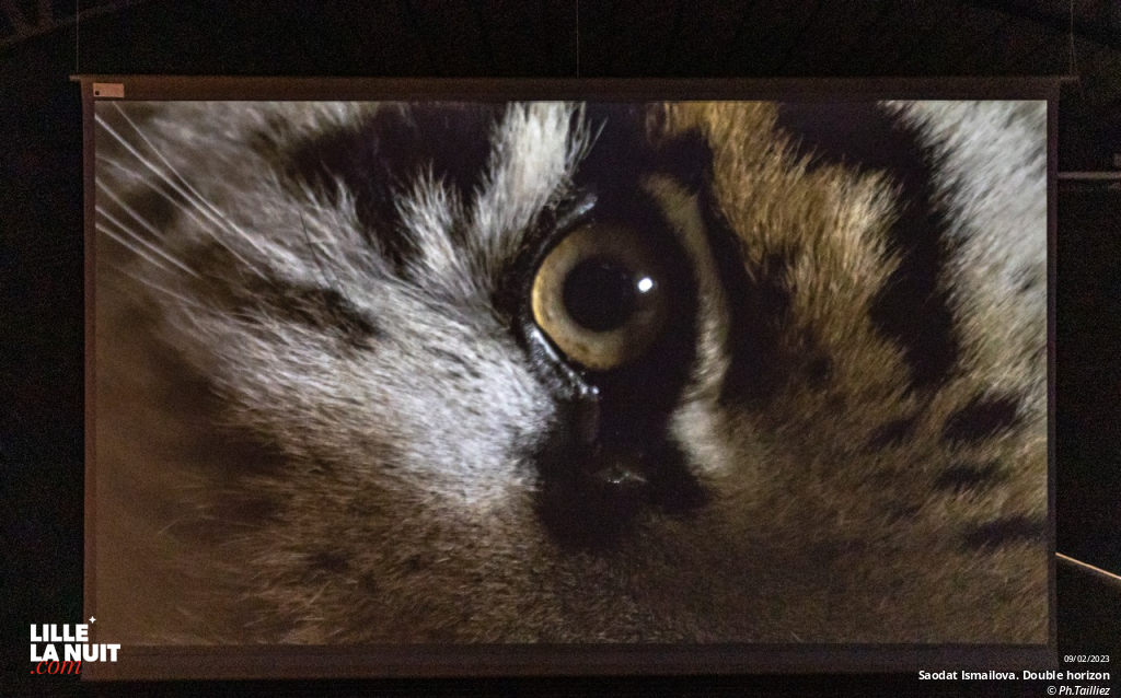 Saodat Ismailova. Double horizon au Fresnoy en live - photo n°19