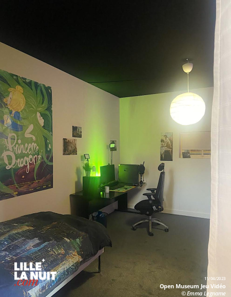 Le jeu vidéo s’invite au musée lors de l’Open Museum en live - photo n°3