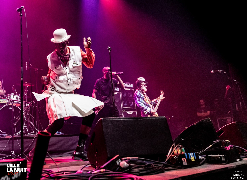 Sum 41 + Fishbone + Landmvrks au Zénith de Lille en live - photo n°11