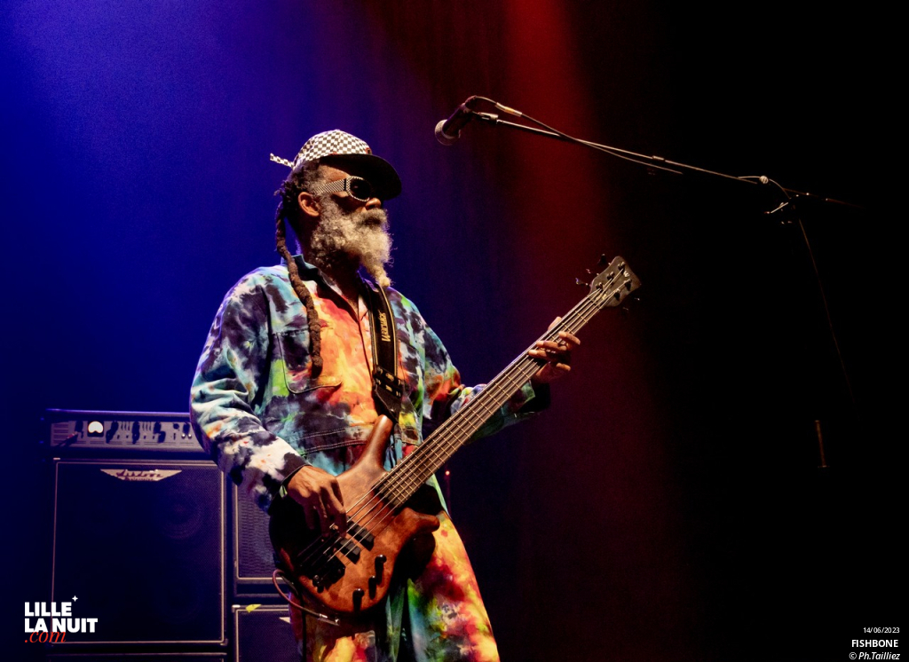 Sum 41 + Fishbone + Landmvrks au Zénith de Lille en live - photo n°5