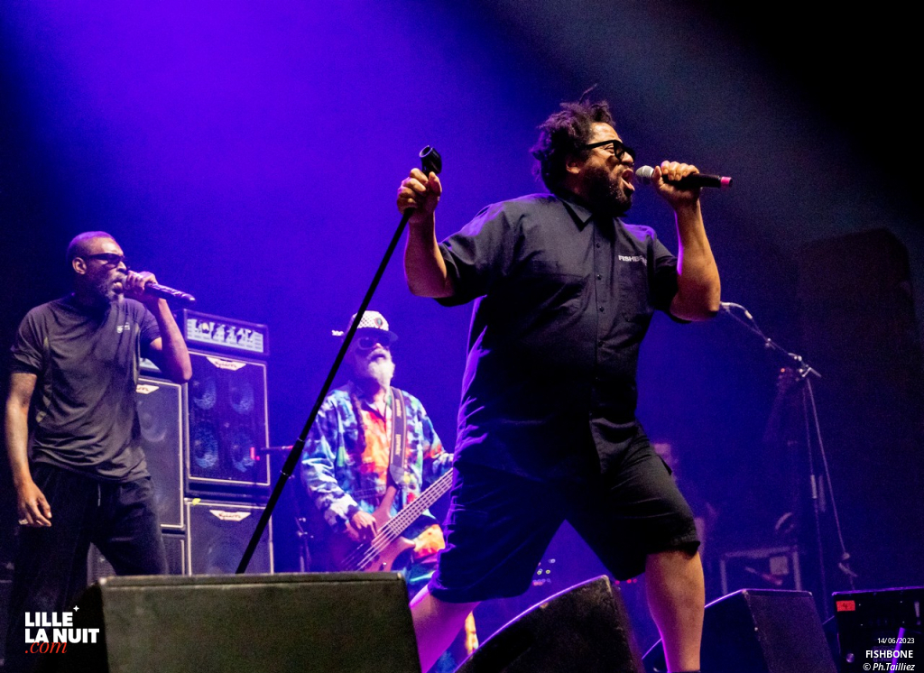 Sum 41 + Fishbone + Landmvrks au Zénith de Lille en live - photo n°7