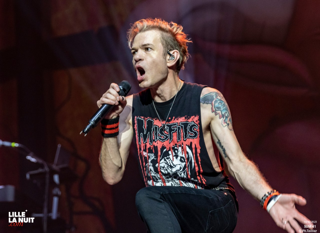 Sum 41 + Fishbone + Landmvrks au Zénith de Lille en live - photo n°17