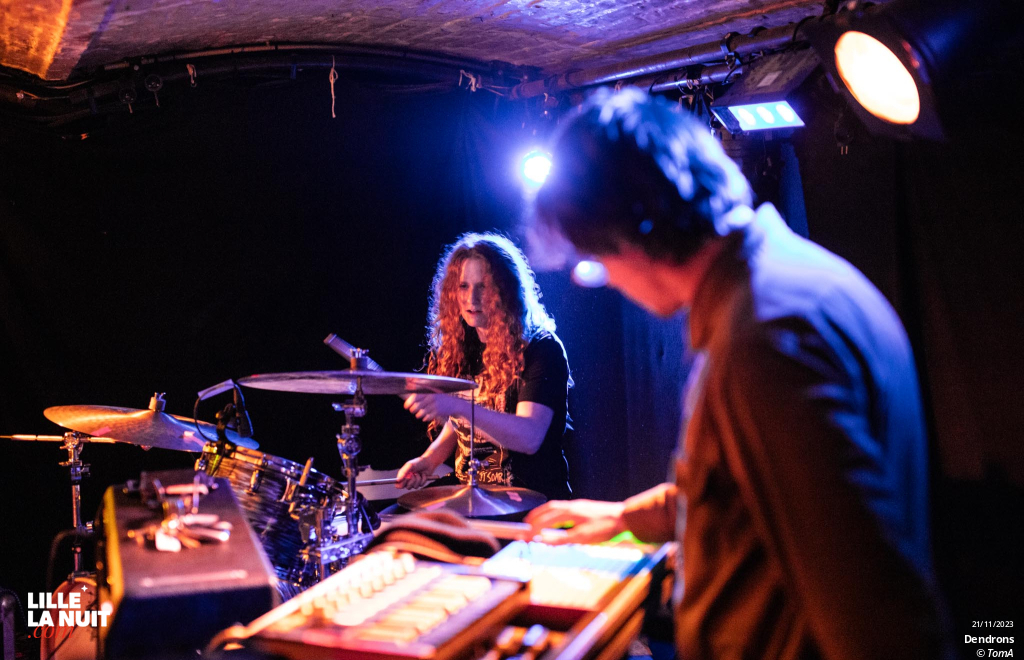 Manatee Pizza + Dendrons à la Malterie en live - photo n°14