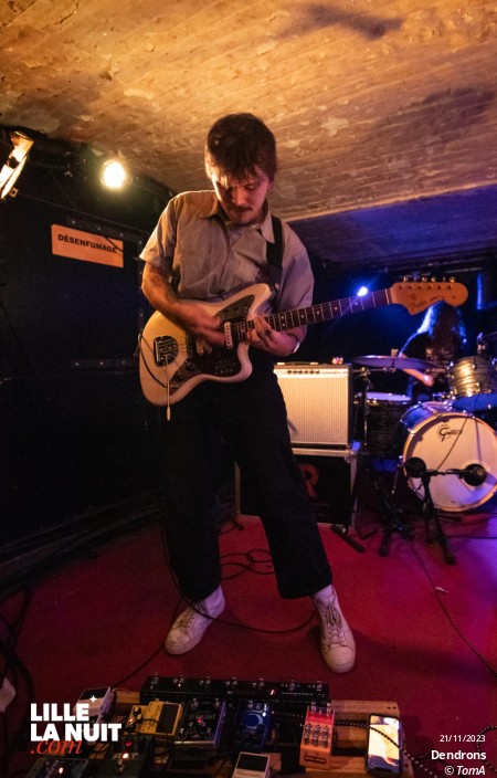 Manatee Pizza + Dendrons à la Malterie en live - photo n°3