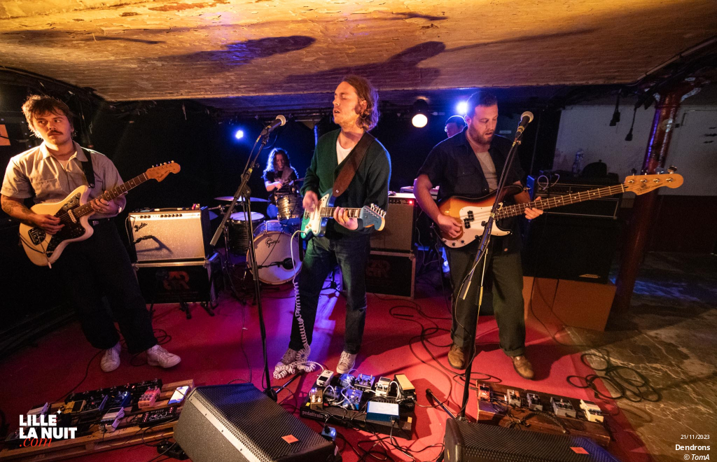 Manatee Pizza + Dendrons à la Malterie en live - photo n°1