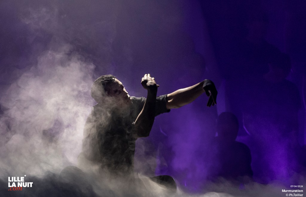 Murmuration, le spectacle aux chorégraphies hypnotisantes au Zénith de Lille en live - photo n°3