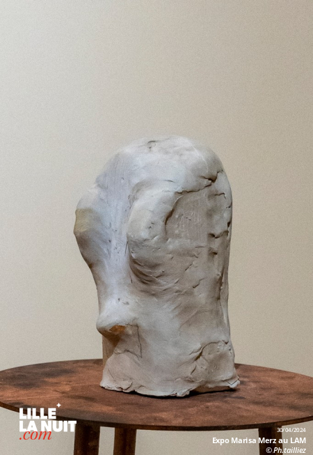 L&rsquo;exposition dédiée à l’artiste italienne Marisa Merz au LaM en live - photo n°11