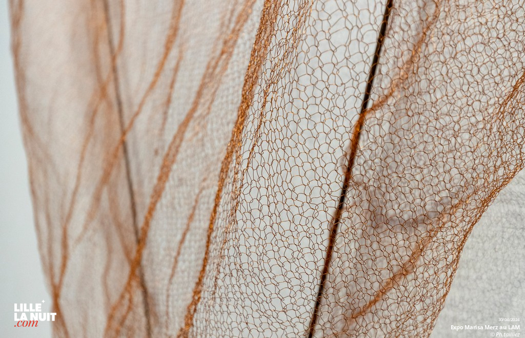 L&rsquo;exposition dédiée à l’artiste italienne Marisa Merz au LaM en live - photo n°37