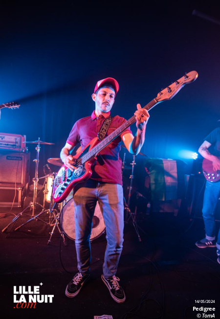 Marmul + Pedigree à La Bulle Café en live - photo n°5