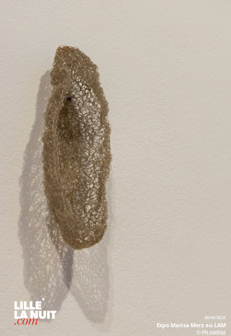 L&rsquo;exposition dédiée à l’artiste italienne Marisa Merz au LaM en live - photo n°29