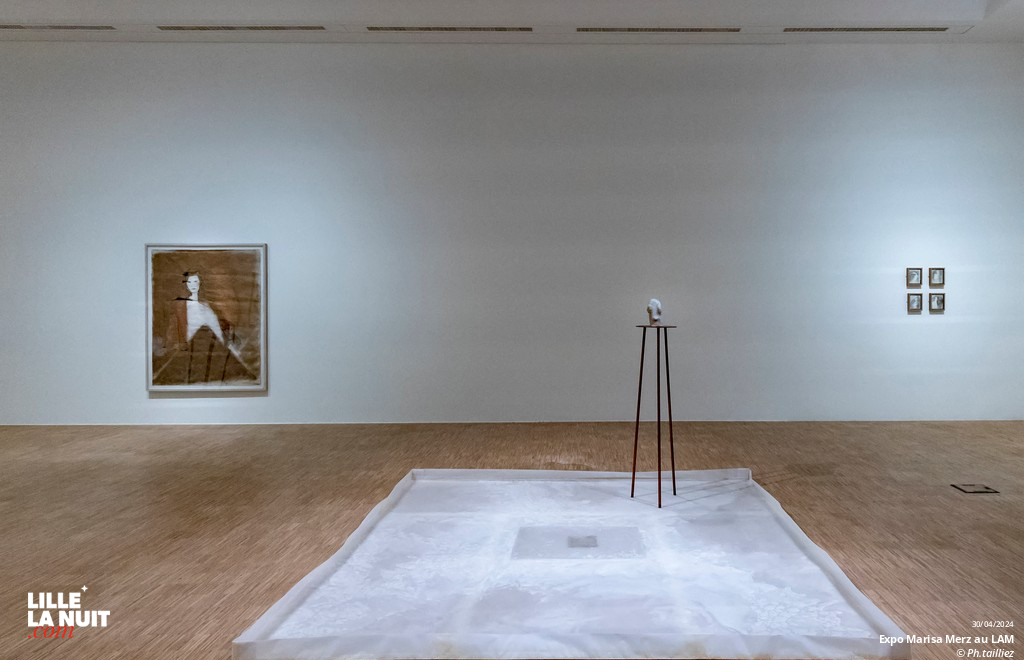 L&rsquo;exposition dédiée à l’artiste italienne Marisa Merz au LaM en live - photo n°49