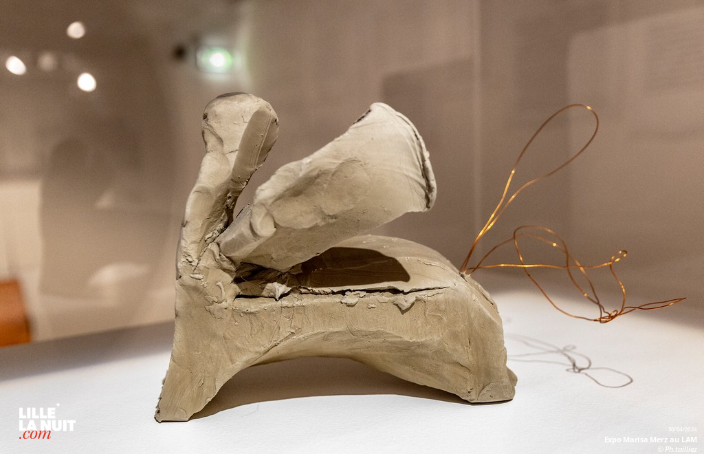 L&rsquo;exposition dédiée à l’artiste italienne Marisa Merz au LaM en live - photo n°13