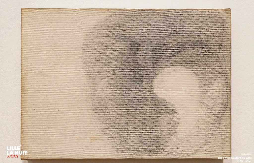 L&rsquo;exposition dédiée à l’artiste italienne Marisa Merz au LaM en live - photo n°35