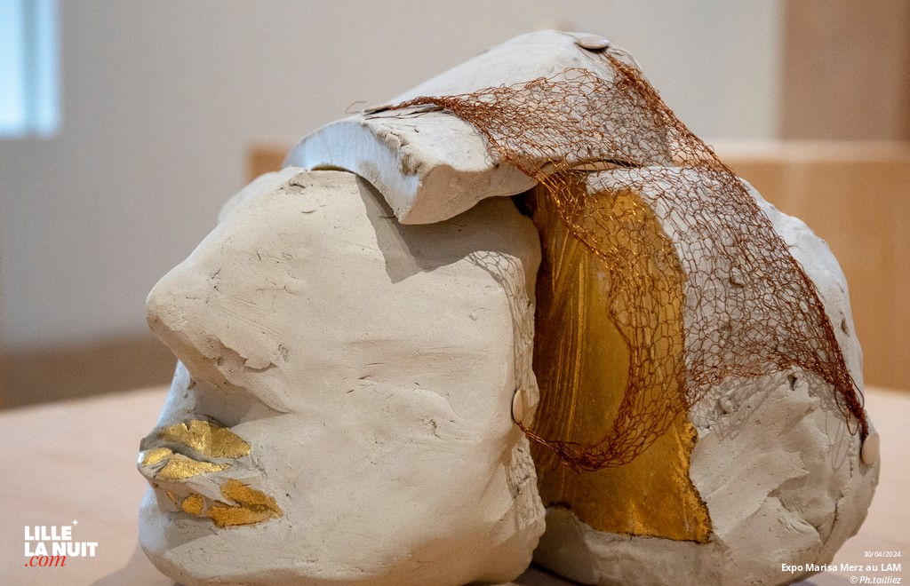 L&rsquo;exposition dédiée à l’artiste italienne Marisa Merz au LaM en live - photo n°2