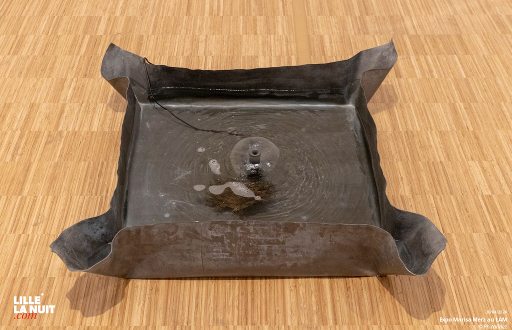 L&rsquo;exposition dédiée à l’artiste italienne Marisa Merz au LaM en live - photo n°20