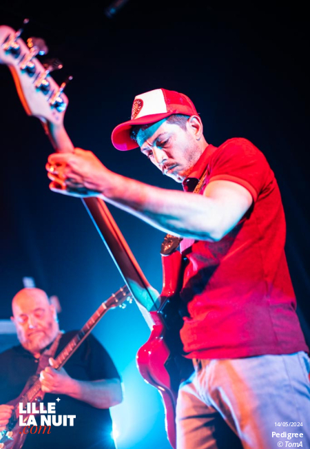 Marmul + Pedigree à La Bulle Café en live - photo n°1