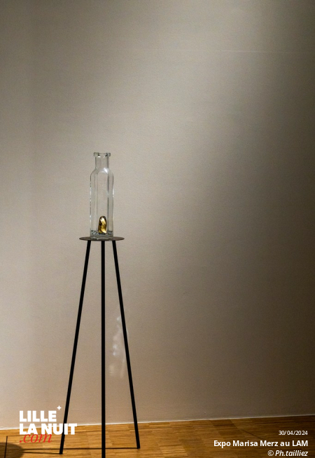 L&rsquo;exposition dédiée à l’artiste italienne Marisa Merz au LaM en live - photo n°31