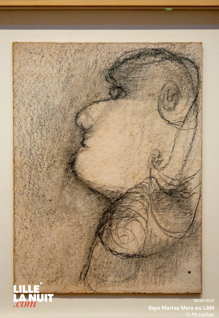 L&rsquo;exposition dédiée à l’artiste italienne Marisa Merz au LaM en live - photo n°42