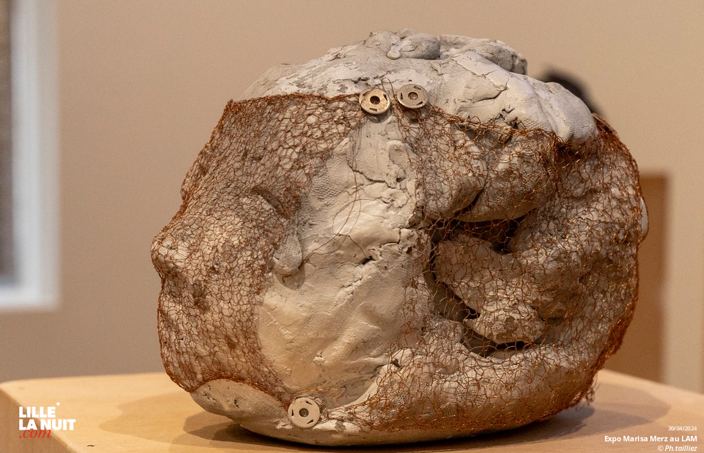 L&rsquo;exposition dédiée à l’artiste italienne Marisa Merz au LaM en live - photo n°36