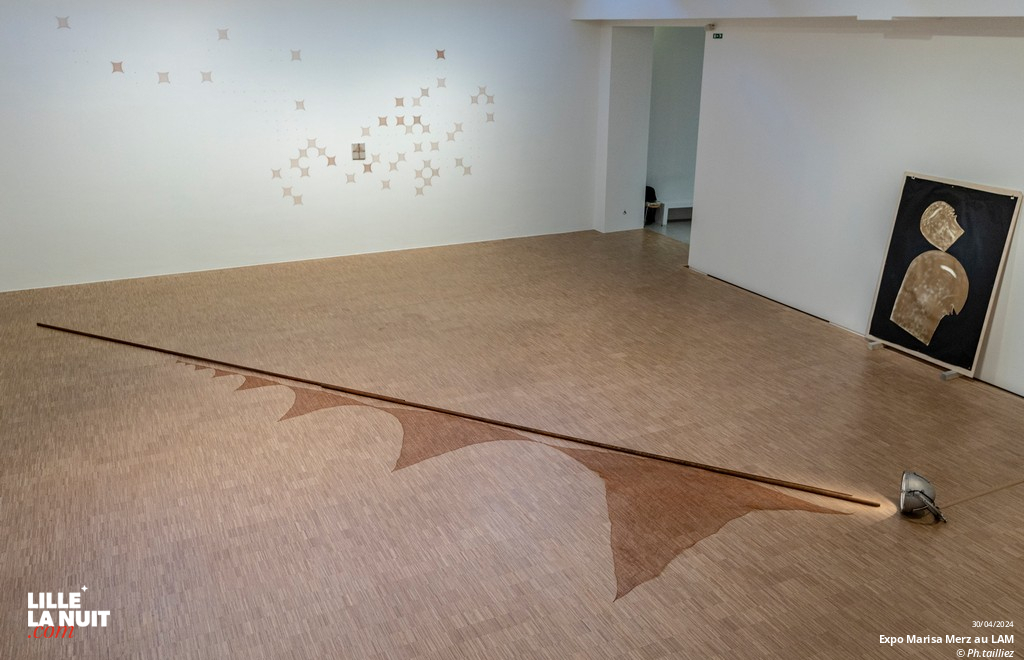 L&rsquo;exposition dédiée à l’artiste italienne Marisa Merz au LaM en live - photo n°45