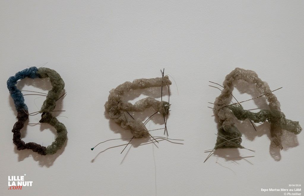 L&rsquo;exposition dédiée à l’artiste italienne Marisa Merz au LaM en live - photo n°4