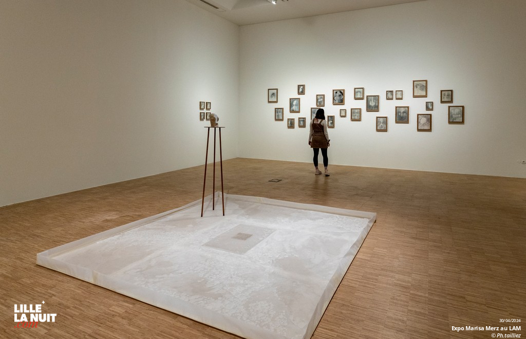 L&rsquo;exposition dédiée à l’artiste italienne Marisa Merz au LaM en live - photo n°22