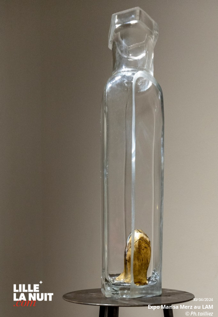 L&rsquo;exposition dédiée à l’artiste italienne Marisa Merz au LaM en live - photo n°23