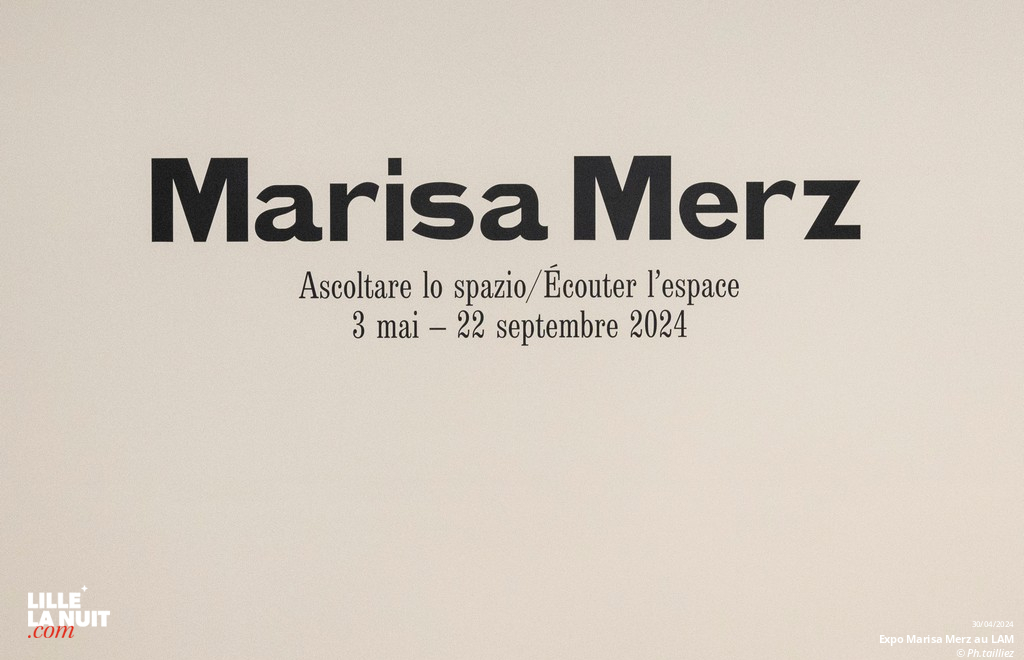 L&rsquo;exposition dédiée à l’artiste italienne Marisa Merz au LaM en live - photo n°48